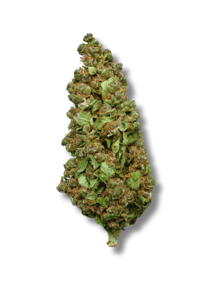 Fleur CBD Sunset Sherbet –...