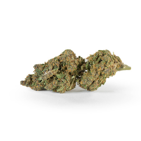Fleur CBD Corsica Nostra –...