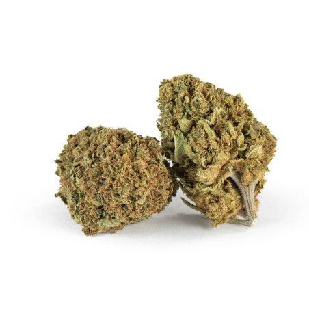 Fleur CBD Bubble Violet greenhouse premium