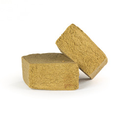 MOROCCO and ICE this is MICE