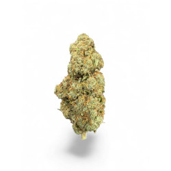 Fleur CBD Berry Colada - Greenhouse Premium