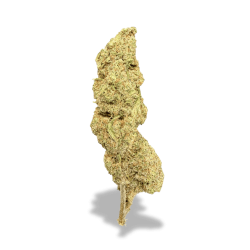 Fleur CBD Green Mandarine - Indoor Premium