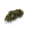Fleur de CBD Magic Lemon - Greenhouse Premium