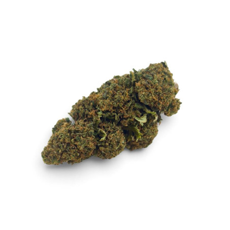 Fleur de CBD Jack Orange -...
