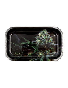 Plateau Alu - Medium