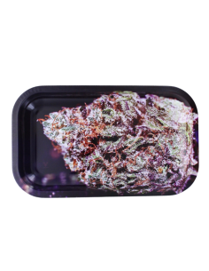 Plateau Alu - Medium