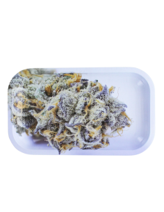 Plateau Alu - Medium