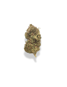 New-York Diesel
