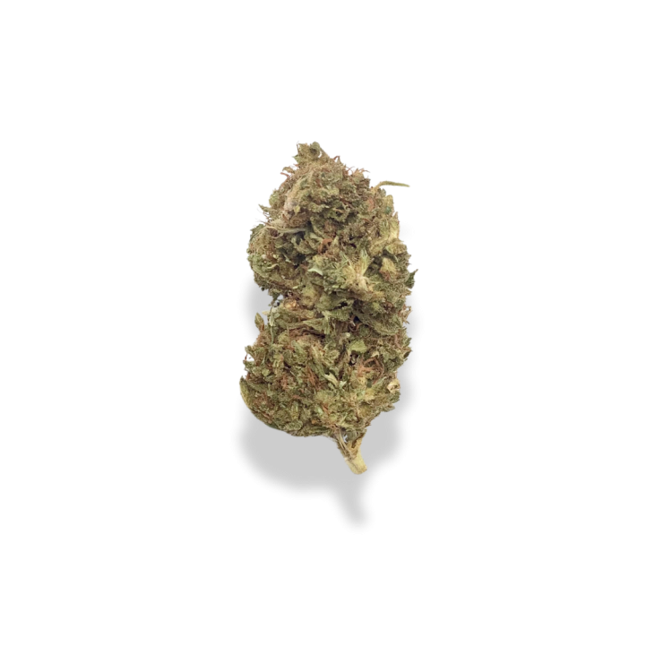 New-York Diesel
