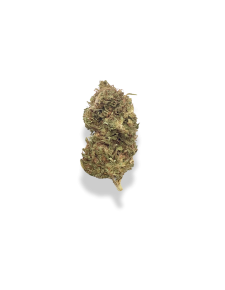 New-York Diesel