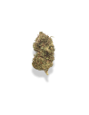New-York Diesel