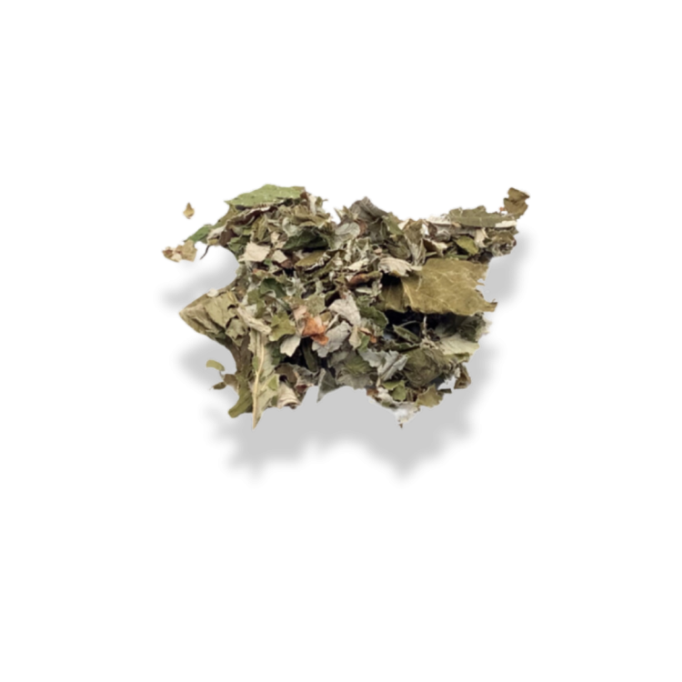 Feuilles de Framboisier - 10g