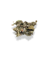 Feuilles de Framboisier - 10g