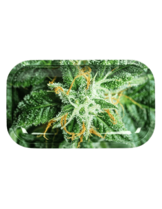 Plateau Alu - Medium